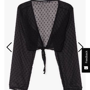 I Sheer Can Plunging Tie Blouse